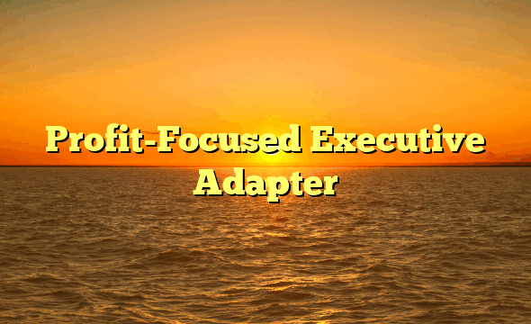 Profit-Focused Executive Adapter