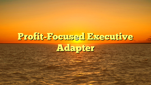 Profit-Focused Executive Adapter