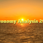 Economy Analysis 290