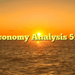 Economy Analysis 515
