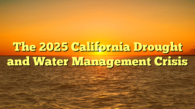 The 2025 California Drought and Water Management Crisis